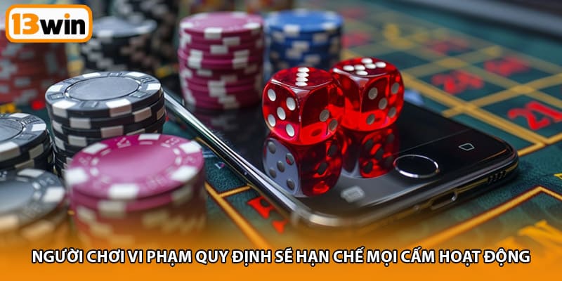 Người chơi vi phạm quy định sẽ hạn chế mọi cấm hoạt động 