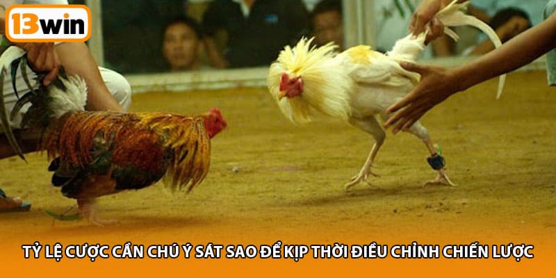 Tỷ lệ cược cần chú ý sát sao để kịp thời điều chỉnh chiến lược